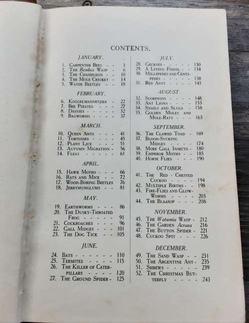 South African Nature Notes Essays of A South African Naturalist by S H Skaife