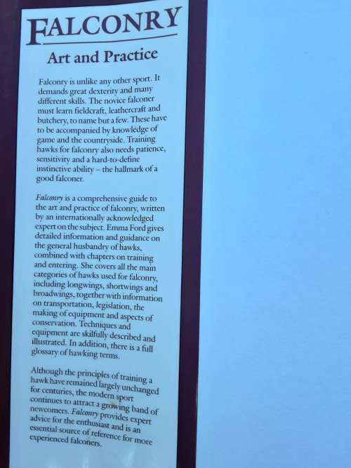 Falconry, Art and Practice by Emma Ford