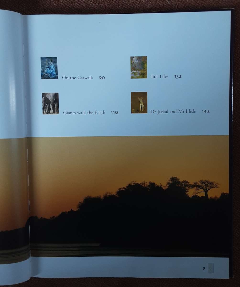 Tuli Land of Giants by Roger and Pat De La Harpe