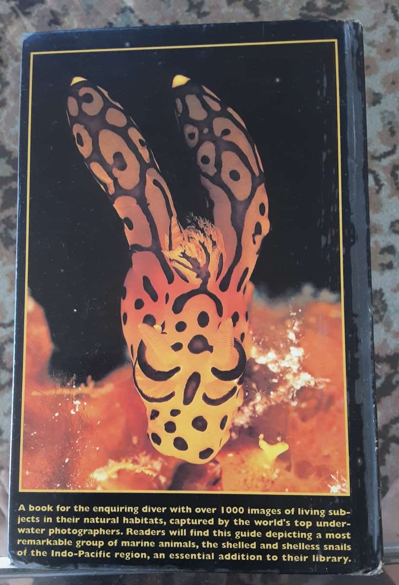 Nudibranchs and Sea Snails Indo-Pacific Field Guide by Helmut Debelius