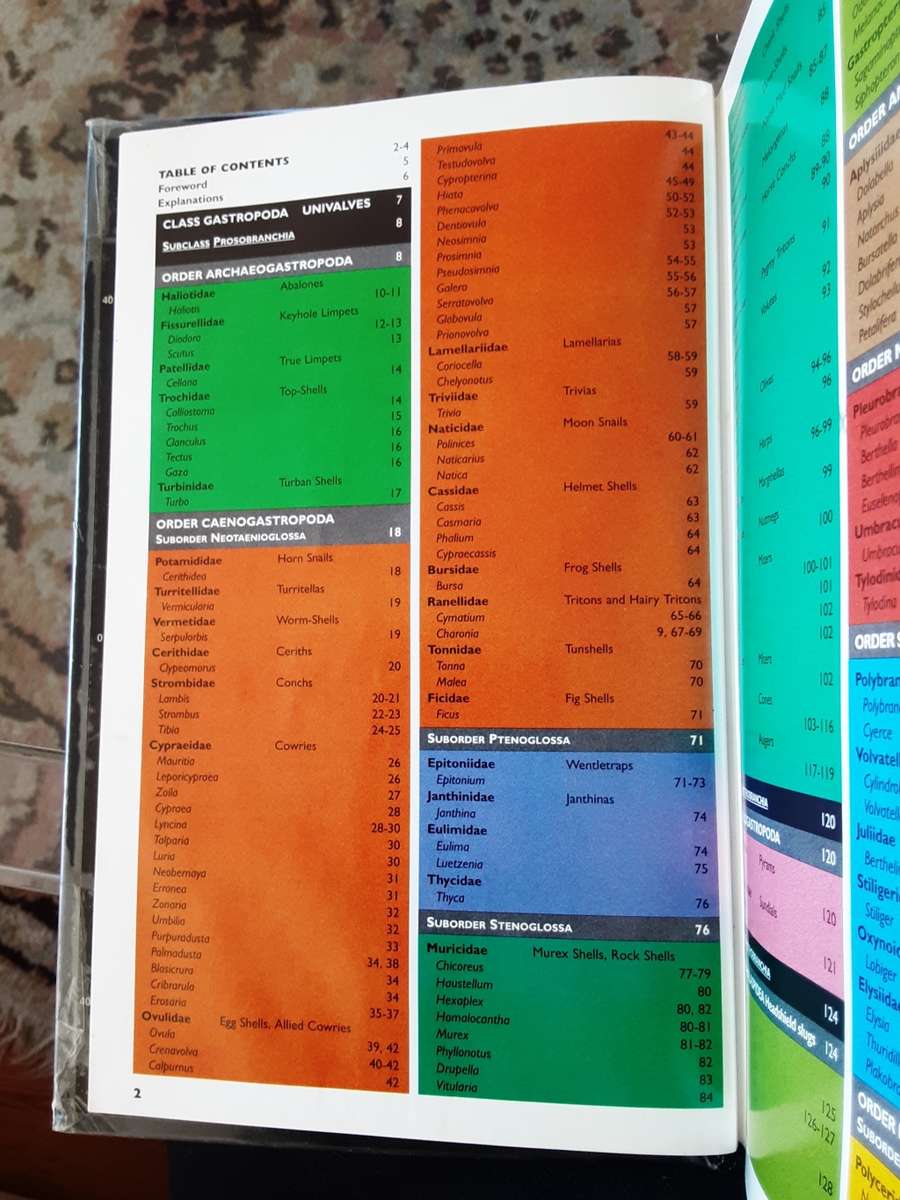 Nudibranchs and Sea Snails Indo-Pacific Field Guide by Helmut Debelius