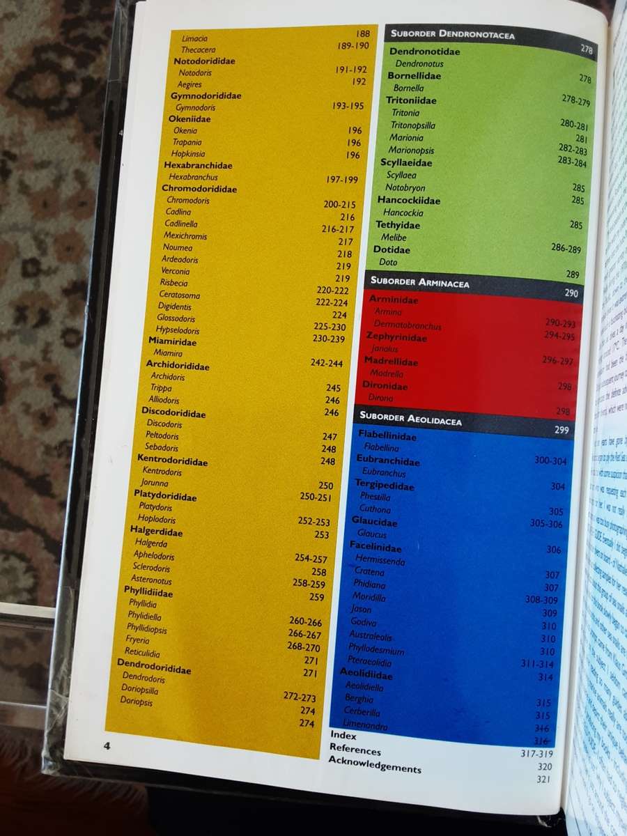 Nudibranchs and Sea Snails Indo-Pacific Field Guide by Helmut Debelius