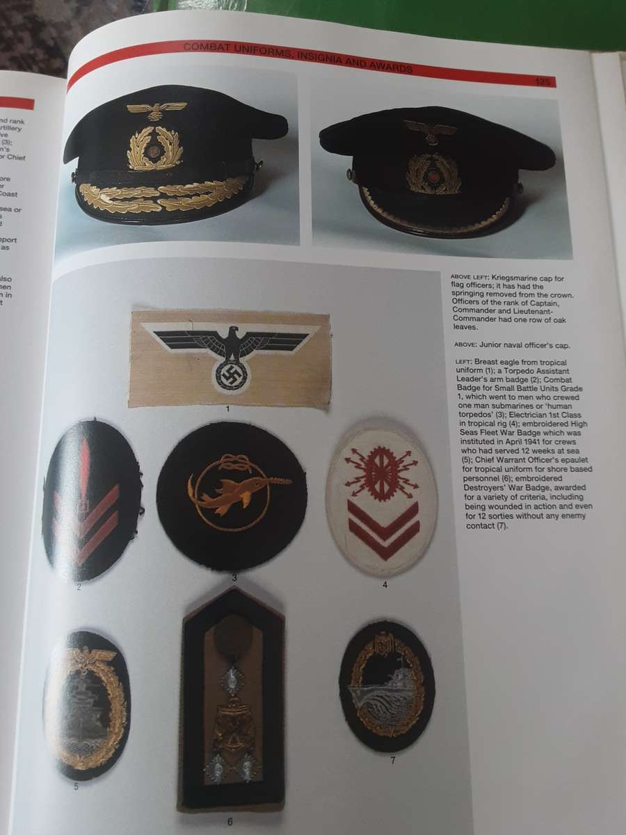 Nazi Regalia by E W W Fowler