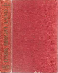 Dark Bright Land by V M Fitzroy