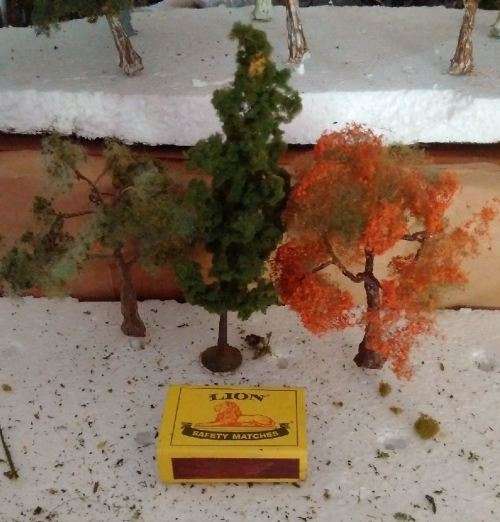 3 Assorted Decidiuus Trees - HO Scale