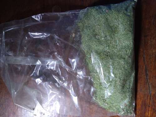 3 Bags of Green Scatter Material - HO Scale