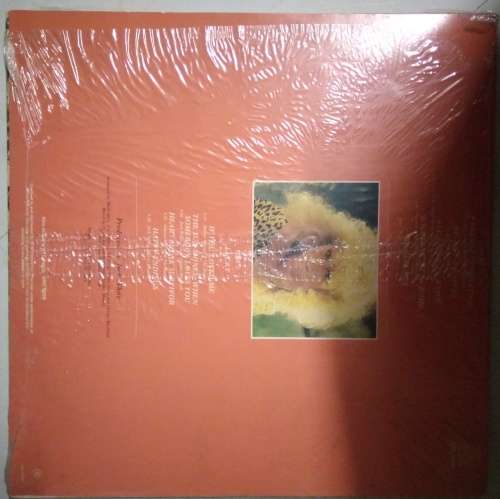 Audrey Landers - Paradise Generation - LP