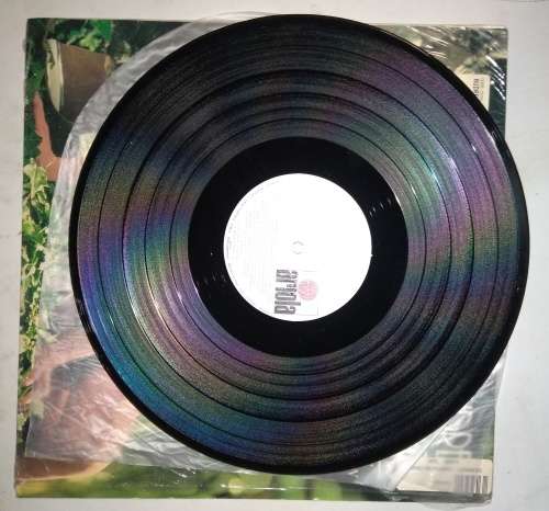 Audrey Landers - Paradise Generation - LP