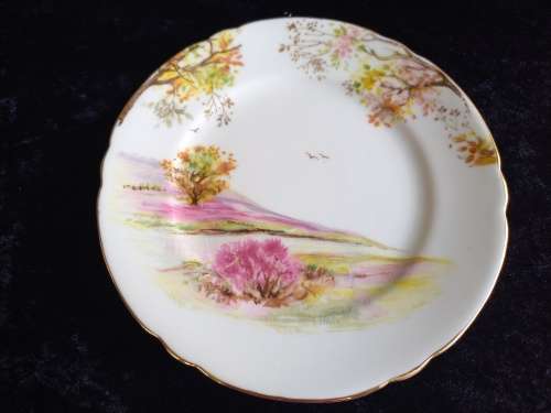 Shelley Side Plate (Old Ireland)