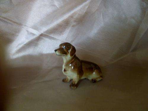 BROWN SAUSAGE DOG