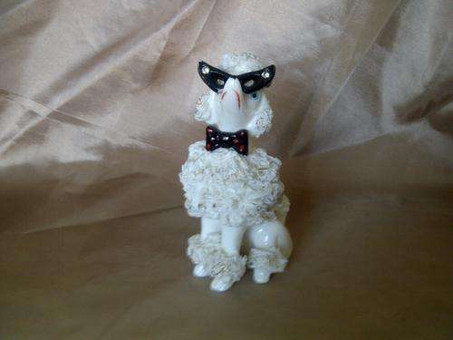 WHITE POODLE WITH SUNGLASSES