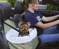 Pet Booster Seat with safety leach