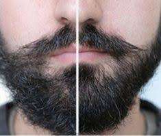 BEARD AND HAIR STRAIGHTNER