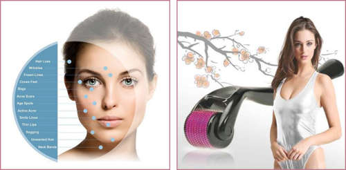 Most professional & powerful 540 needle derma-roller system