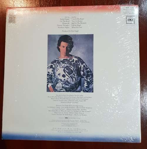 DAN SIEGEL Northern Nights (Excellent/Excellent) CBS ASF 3193 SA Press 1988 - SMOOTH JAZZ / FUSION