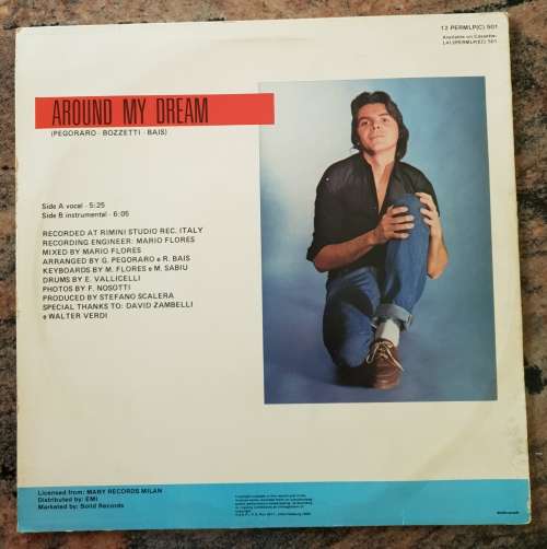 SILVER POZZOLI Around My Dream - 12 ' MAXI SINGLE (Excellent/Good+) 1985 SA Pressing