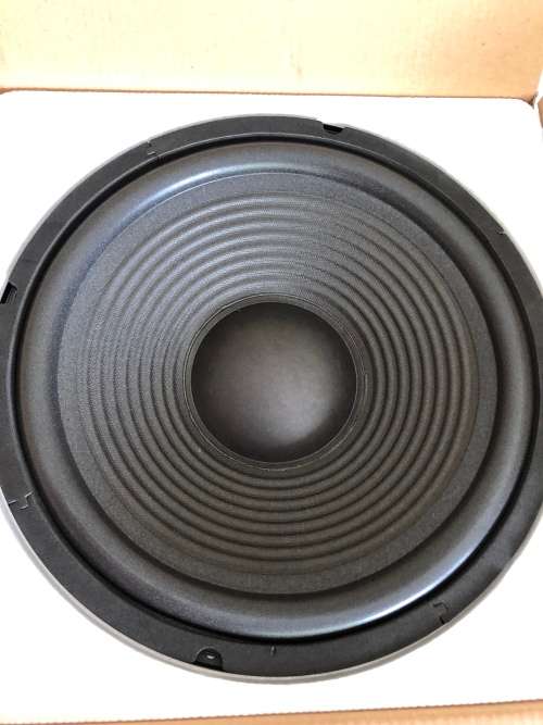 1000Watt Max Rocksonic 10" speaker