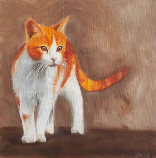 Orange Cat - Oil painting on canvas board (250mm x 250mm)