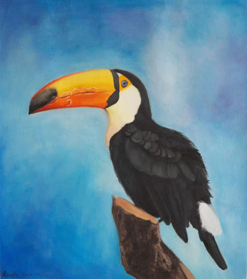 Toucan - Oil on Canvas - 350mm x 400mm