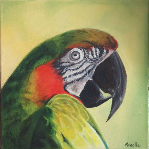 Parrot II - Oil Painting On Canvas (250mm x 250mm x 35mm)