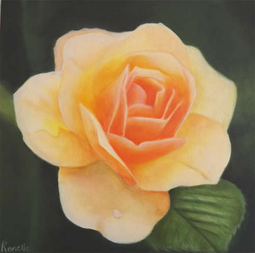 Yellow Rose - Oil painting on wooden canvas (200mm x 200mm x 30mm)