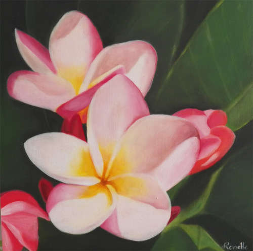 Frangipanis - Oil painting on wooden canvas (200mm x 200mm x 30mm)