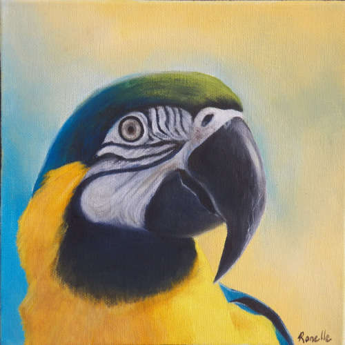 Parrot - Oil Painting On Canvas (200mm x 200mm x 35mm)