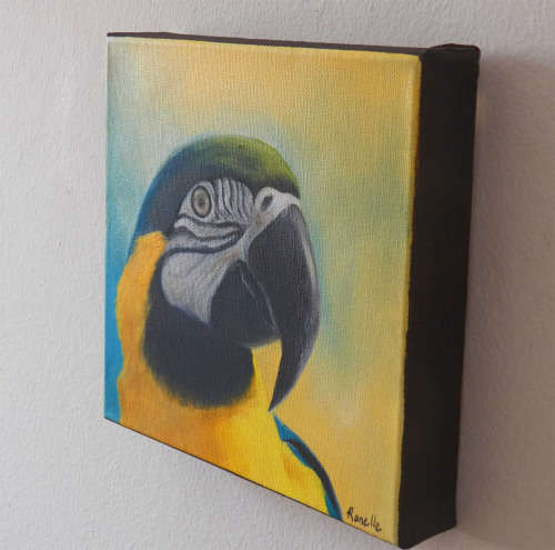 Parrot - Oil Painting On Canvas (200mm x 200mm x 35mm)