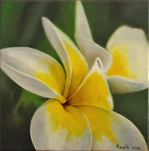 Oil painting by Ronelle Lourens - 250mm x 250mm x 20mm -  "Frangipani"