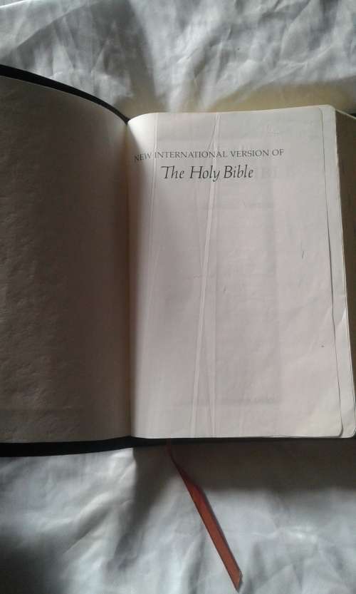 BIBLE:  NIV - with finger indexing- Medium print