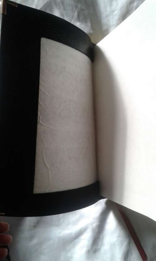 BIBLE:  NIV - with finger indexing- Medium print