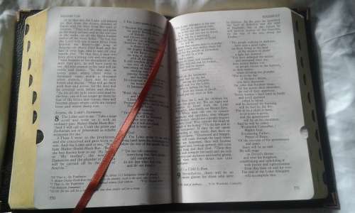 BIBLE:  NIV - with finger indexing- Medium print