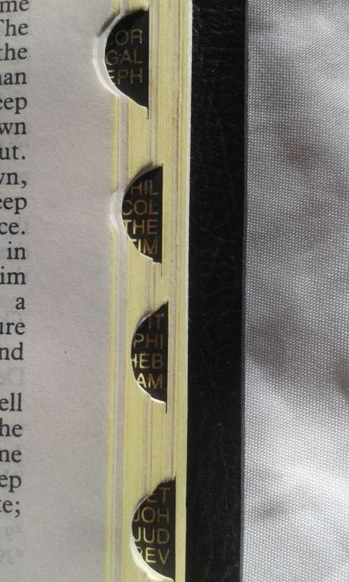 BIBLE:  NIV - with finger indexing- Medium print