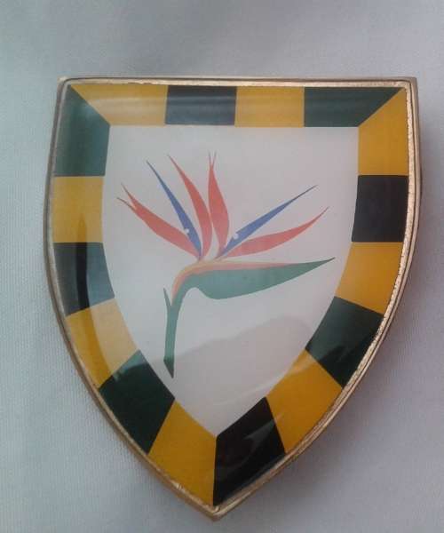 SA ARMY - 6 SAI - shoulder flash with pins(L)***LOW START