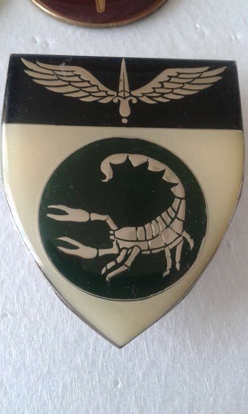 SA ARMY:  2 RECCE Commando Regiment (right) 1ST ISSUE