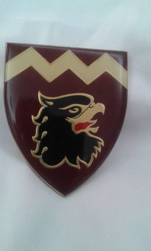 Low start!     44- Para- 18- Light Regiment shoulder flash