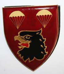 BID NOW!!!  2-PARACHUTE BATTALLION SHOULDER FLASH