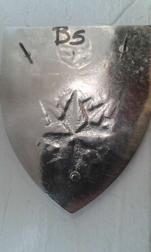 NOW SELLING!!!  2- RECCE REGIMENT SHOULDER FLASH ----