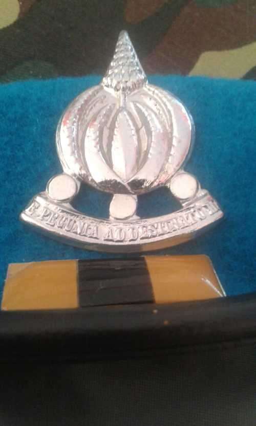 SADF FINANCE SERVICES CORPS BERET WITH CAP BADGE AND BALKIE