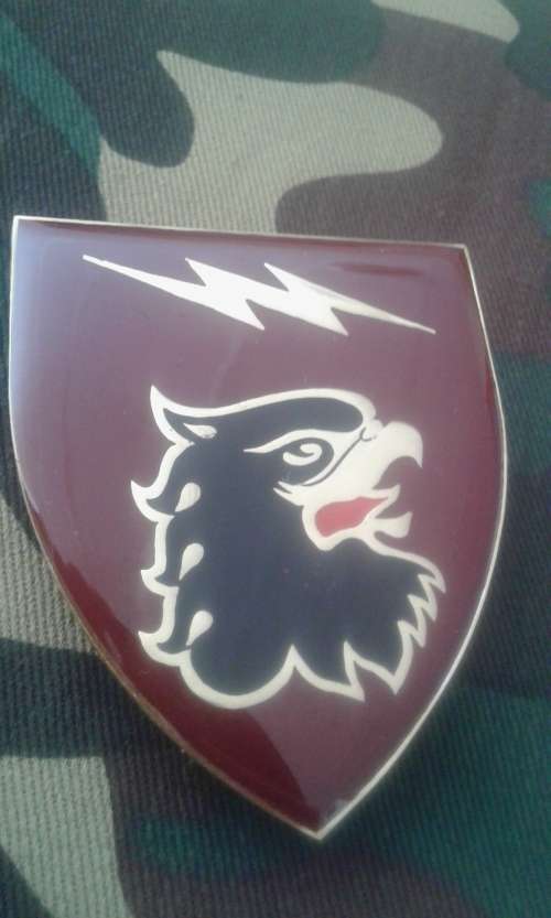 SADF --44 PARA SIGNAL UNIT SHOULDER FLASH