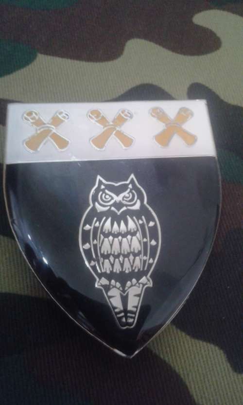 SADF INTELLIGENCE CIVIL DEFENSE UNIT SHOULDER FLASH