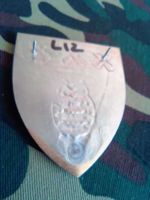 SADF INTELLIGENCE CIVIL DEFENSE UNIT SHOULDER FLASH