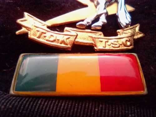 SADF TECHNICAL SERVICES BERET WITH CAP BADGE AND BALKIE