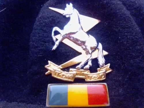 SADF TECHNICAL SERVICES BERET WITH CAP BADGE AND BALKIE