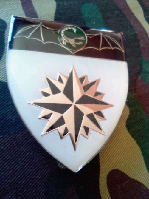 SADF 2 RECCE REGIMENT SHOULDER FLASH