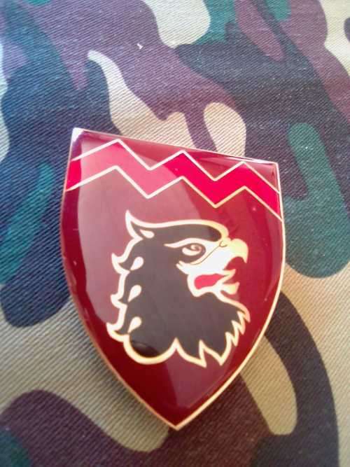 SADF 44 PARACHUTE  18 LIGHT REGIMENT SHOULDER FLASH