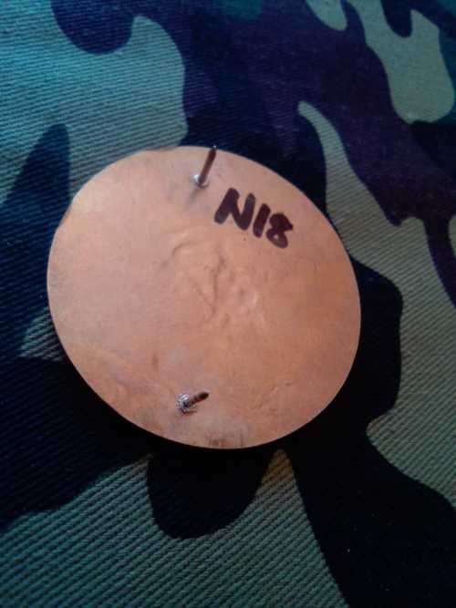 SADF 44 PARACHUTE BRIGADE PATHFINDER UNIT FLASH