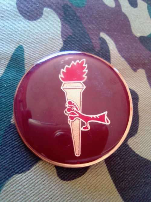 SADF 44 PARACHUTE BRIGADE PATHFINDER UNIT FLASH