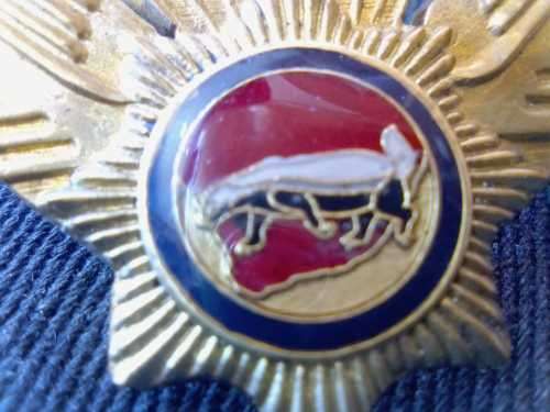 SADF - VLAKPLAAS TACTICAL PARACHUTE WING (STANDARD)