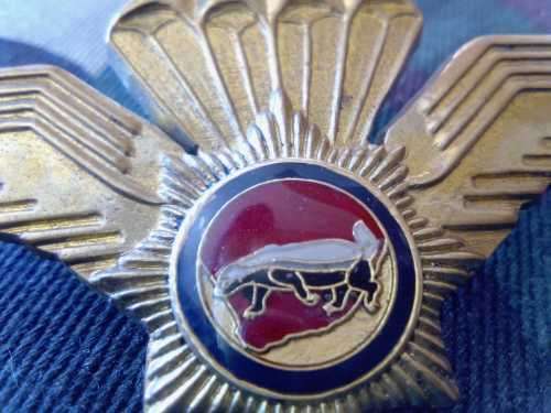 SADF - VLAKPLAAS TACTICAL PARACHUTE WING (STANDARD)